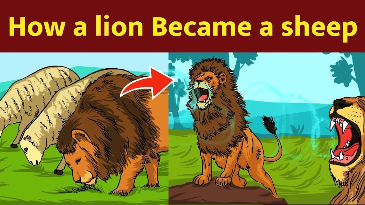 Lion